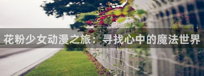 漫岛动漫：花粉少女动漫之旅：寻找心中的魔法世界