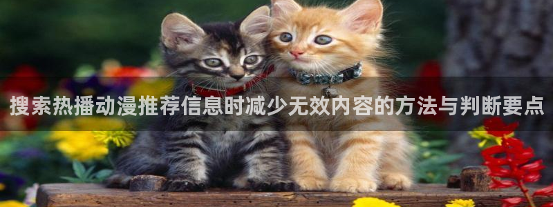 泡在我家的黑田同学动漫:搜索热播动漫推荐信息时减少无效内容的方法与判断要点