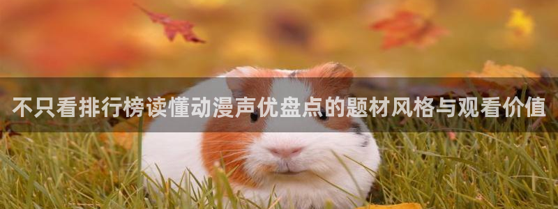 动漫之岛
