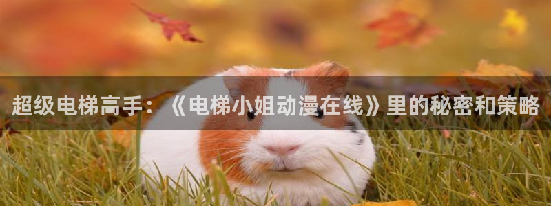 免费观看动漫的网站:超级电梯高手:《电梯小姐动漫在线》里的秘密和策略