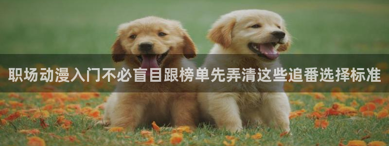 动漫h在线看：职场动漫入门不必盲目跟榜单先弄清这些追番选择标准