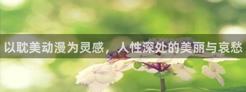 治愈动漫:以耽美动漫为灵感,人性深处的美丽与哀愁
